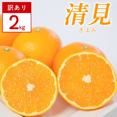 【訳あり】清見 2kg 愛媛県 八幡浜市 西宇和地区 柔らかい果肉【C25-380】【配送不可地域：離島】【1716954】