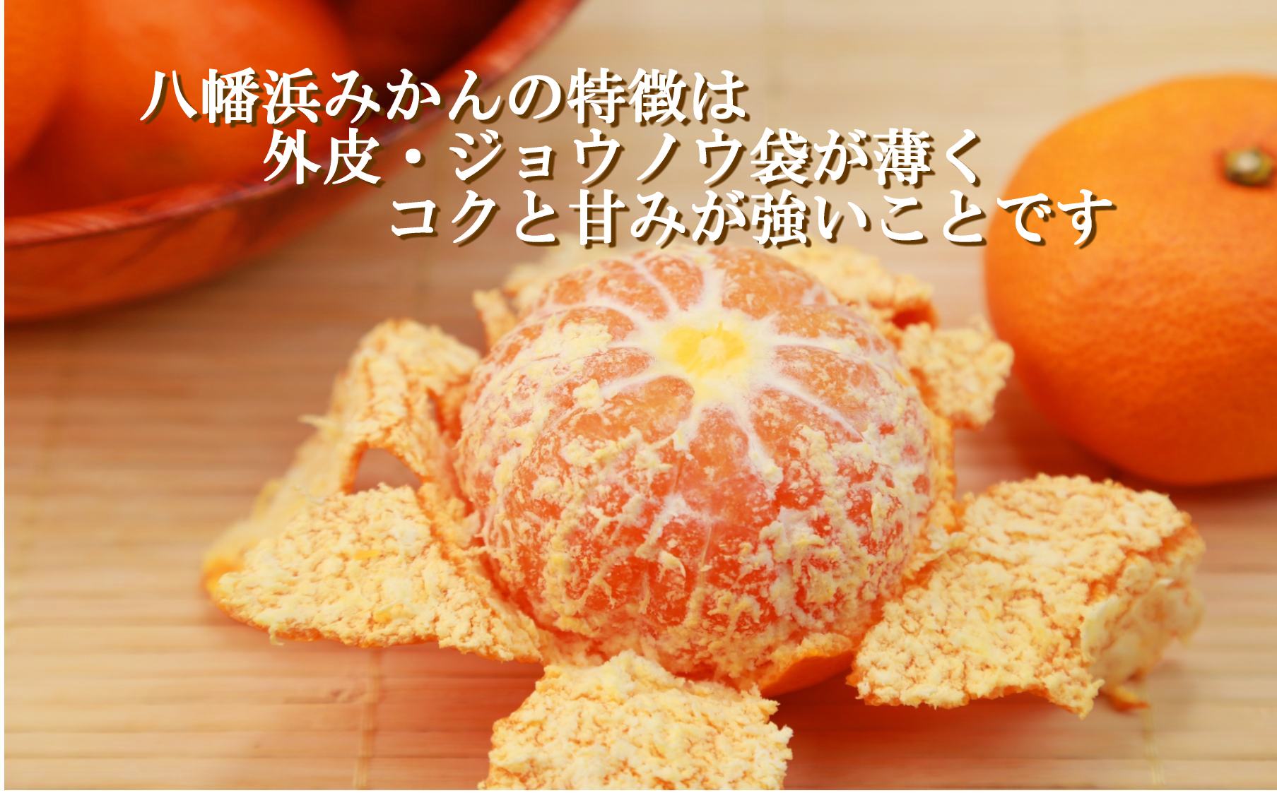 倪éœã®å
ã»ç³å£ã®åå°å
ã»æµ·é¢ã®åå°å
ãæµŽã³ãŠè²ã£ããå
«å¹¡æµã¿ãããçŽ5ãããC39-79ããé
éäžå¯å°åïŒé¢å³¶ãã1636310ã YWTF054