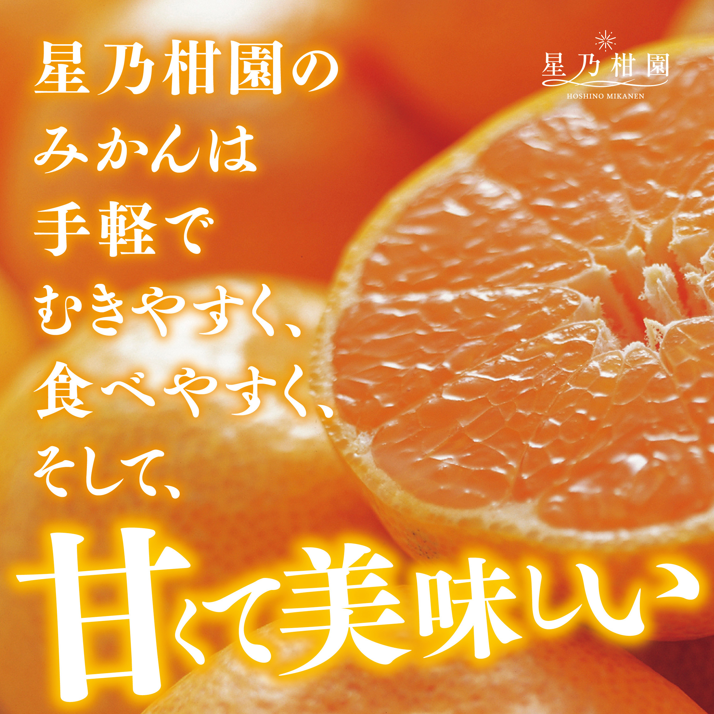 【訳あり】星乃みかん園の星乃みかん(5kg)【A45-98】【1650693】 YWTAZ060
