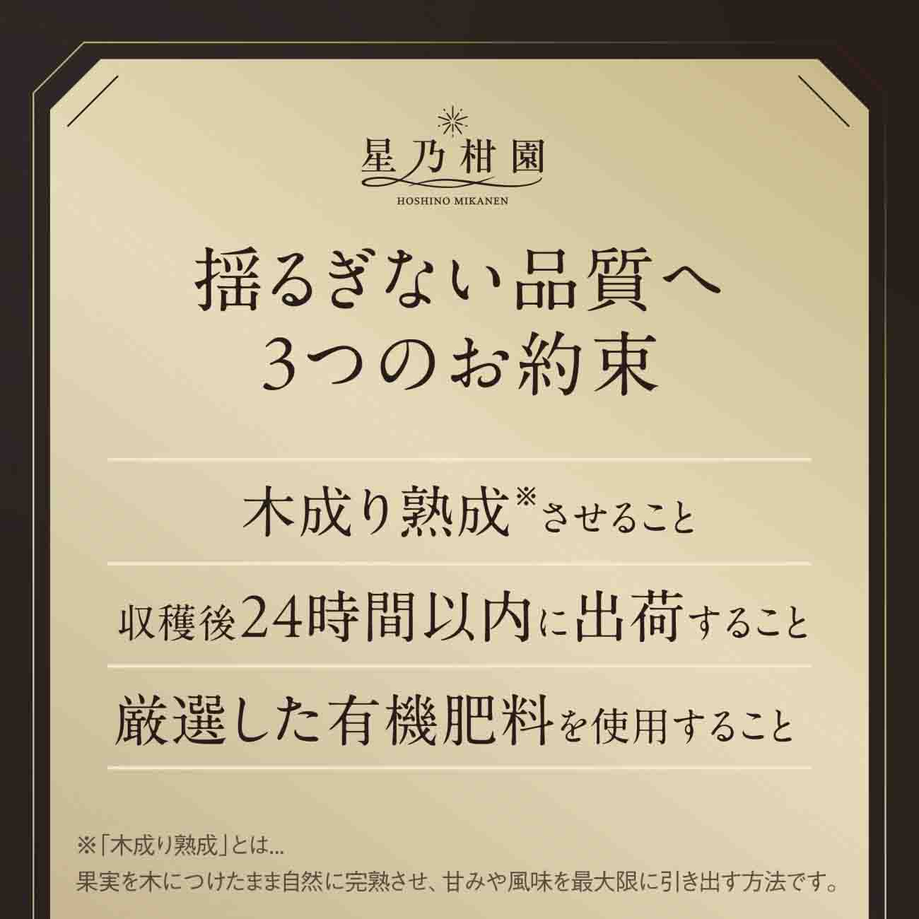 【三つ星ブランド】星乃みかんプレミアムシリーズ(3kg)【C45-94】【1625778】 YWTAZ056