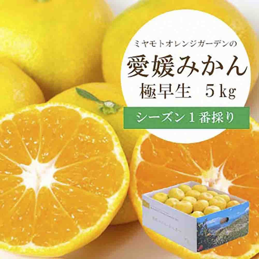 シーズン1番採り!八幡浜産 極早生みかん 5kg【C25-35】【1044407】 YWTAP026