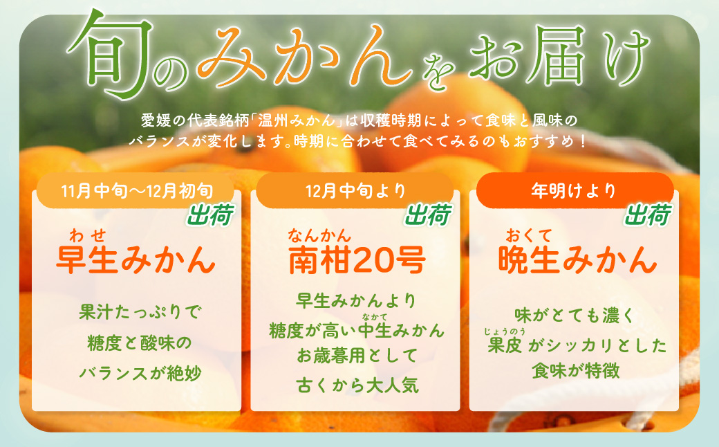 縲仙郁。悟女莉倥大宍驕ク縲逕倥シ縺蟆冗脂!隘ソ螳蜥後∩縺九s(繝上Ο繝シ繧ュ繝繧」繝代ャ繧ア繝シ繧ク)邏3.5kg蜈・縲燭24-7縲 YWTAD004