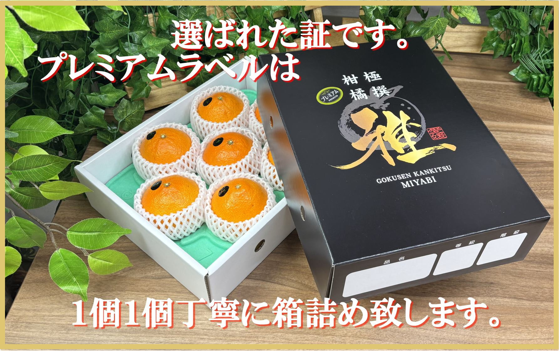 極撰柑橘【雅プレミアム】糖度保証・光センサー合格品「 せとか 」約3キロ【D39-69】【配送不可地域：離島】【1620365】 YWTF044