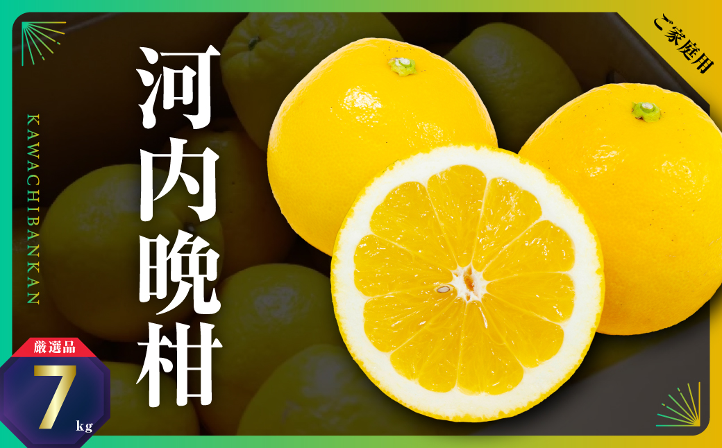 三代目の河内晩柑7kg(家庭用)【C31-30】【配送不可地域：離島】【1232986】 YWTAC019
