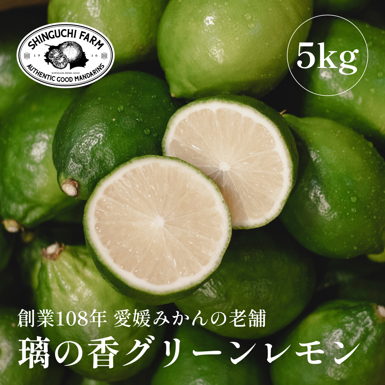 【先行受付】【皮が薄くて種が少ない】璃の香グリーンレモン 5kg 愛媛県産【D70-51】【1550676】 YWTK051