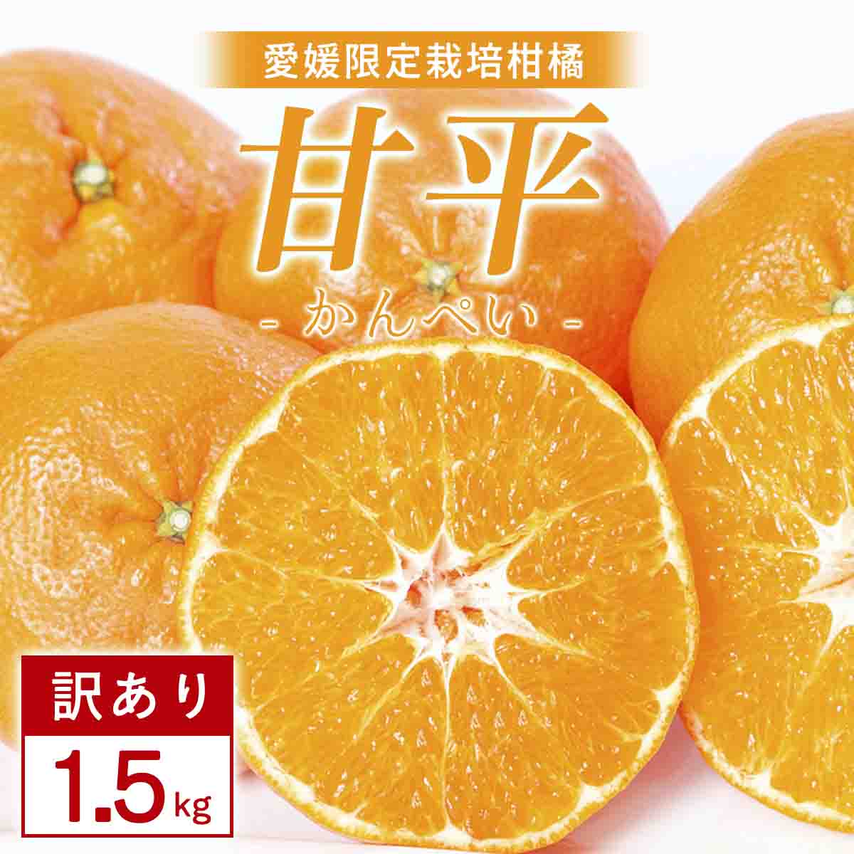 【訳あり】甘平 1.5kg 愛媛県 八幡浜市 西宇和地区 扁平で濃い味【C25-333】【1714523】 YWTAP274
