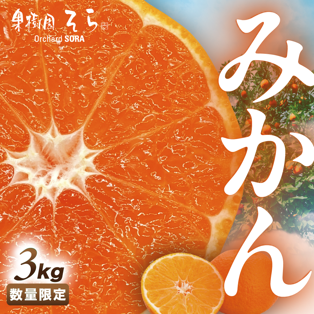 【先行受付】天空の果樹園から届くそらみかん (3kg)【A95-7】【1668512】 YWTAQ007