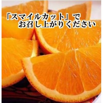 2026年2月発送開始　柑橘の大トロ!「せとか」約3.5キロ【訳あり品・家庭向け】【C39-51】【配送不可地域：離島】【1491413】