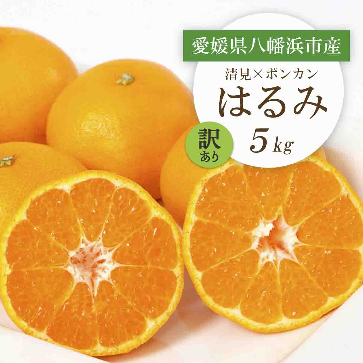 【2026年2月より順次発送】愛媛県八幡浜市産 はるみ5kg【訳あり】【C25-209】【1612666】 YWTAP150