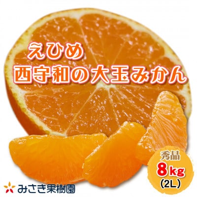 西宇和産大玉みかん2Lサイズ8kg【C21-40】【1623773】