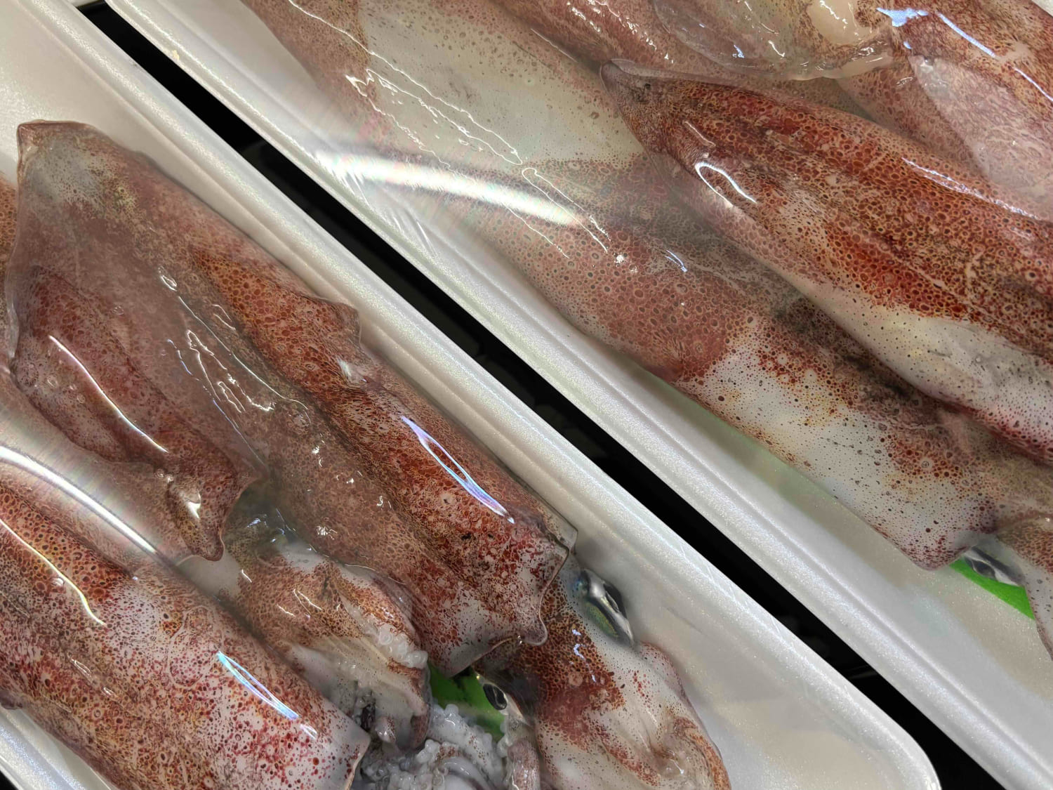【冷凍便】八幡浜発!「白イカ(剣先イカ)」ドカーンと2kg!【F22-210】【配送不可地域：離島】【1043151】 YWTM028