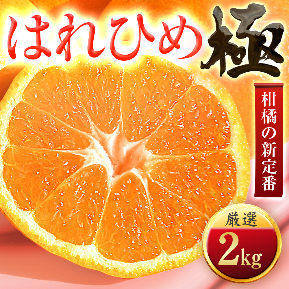 【太陽をたっぷり浴びた】はれひめ【極】2kg【A49-96】【1623957】 YWTZ081