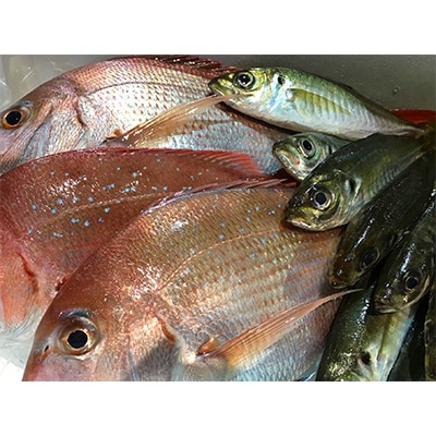 ç«¹äžæ°Žç£ã®ããæè»œé®®éããã¯ã¹çŽ1.5ããã!ãD22-232ããé
éäžå¯å°åïŒé¢å³¶ã»åæµ·éã»æ²çžçãã1070932ã