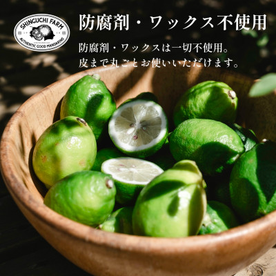 【皮ごと食べられる】瀬戸内グリーンレモン 3kg 防腐剤・ワックス不使用【C70-47】【1550650】