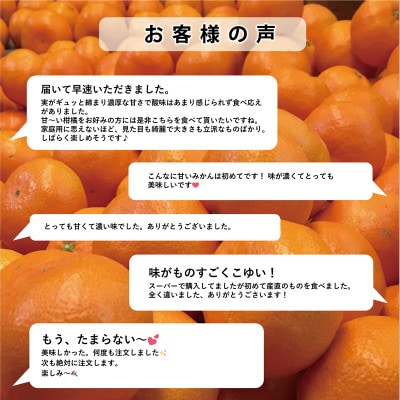 【完熟&熟成】愛媛で育った夕やけみかん【極】3kg　※年明け発送【C49-77】【1557679】