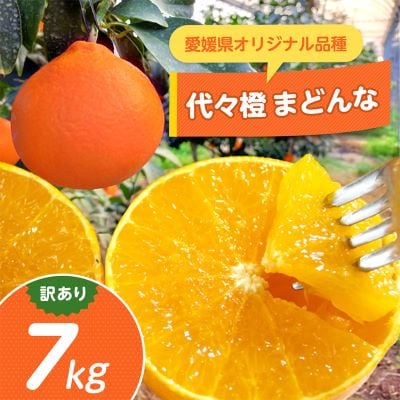 【紅まどんなと同品種】【訳あり】代々橙まどんな7kg【E83-7】【1543883】