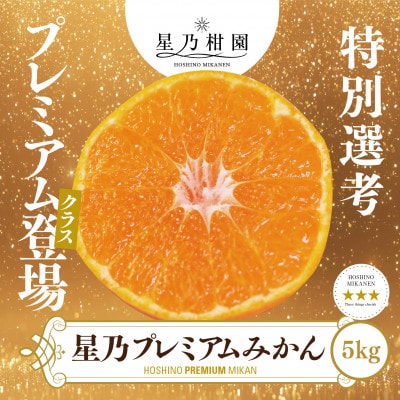 【三つ星ブランド】星乃みかんプレミアムシリーズ(5kg)【D45-84】【1454778】