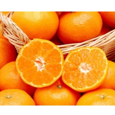 愛媛県産愛媛みかん5kg(早生)と果汁100%ストレートジュースおまかせ3本セット【D35-8】【配送不可地域：離島・北海道・沖縄県】【1492246】