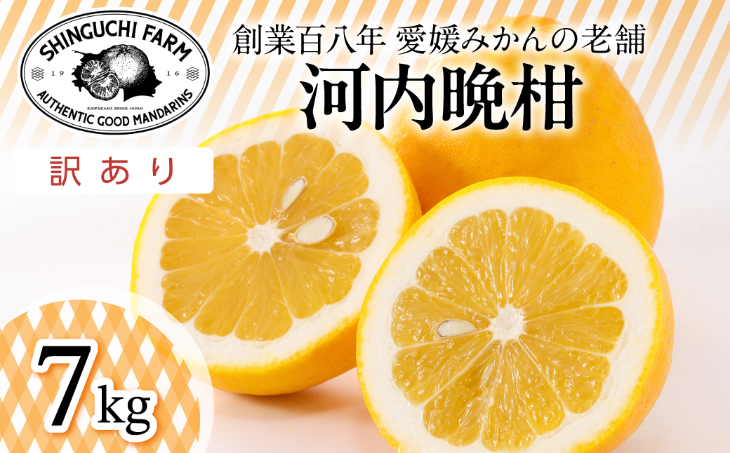 【太陽の恵みをギュッと凝縮】河内晩柑 訳あり 7kg 愛媛県産【D70-45】【1537315】 YWTK045