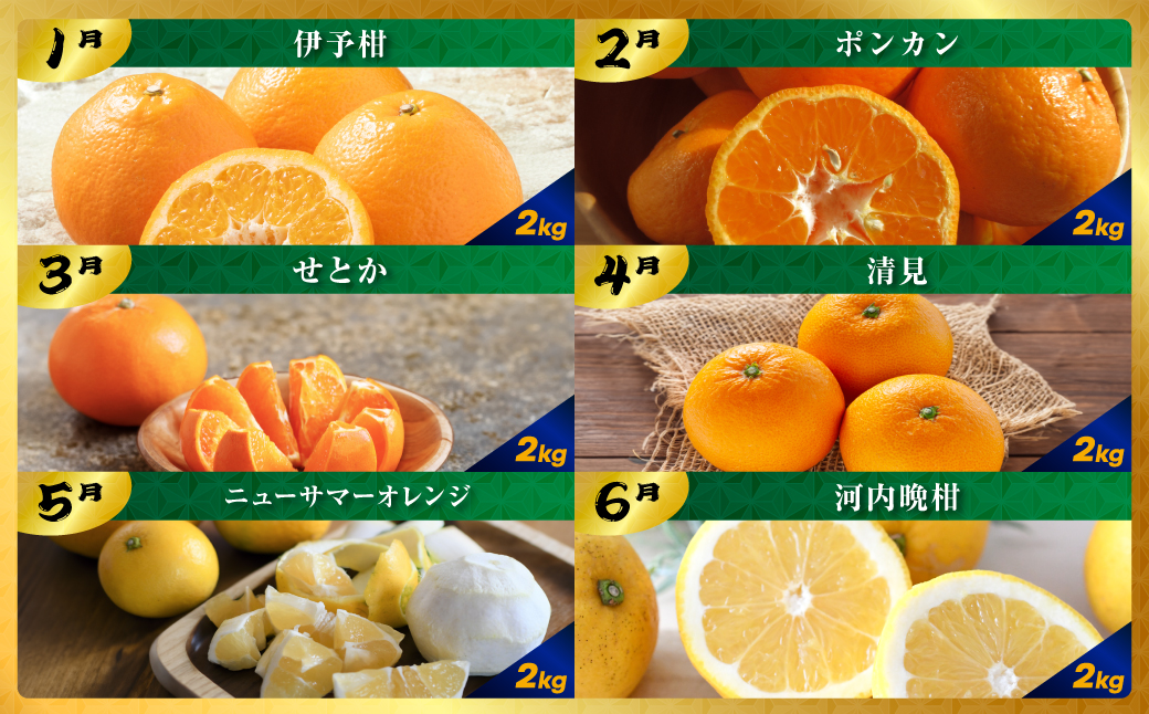 縲千匱騾∵怦蝗コ螳壼ョ壽悄萓ソ縲第ッ取怦螻翫¥!縺ソ縺九s縺ョ繧ォ繝ャ繝ウ繝繝シ萓ソ縲ス12繝カ譛医ョ譌ャ繧呈羅縺吶kス槭食31-62縲大ィ12蝗 YWTAC051