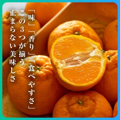 三代目がつくる不知火5kg【D31-3】【配送不可地域：離島】【1042518】