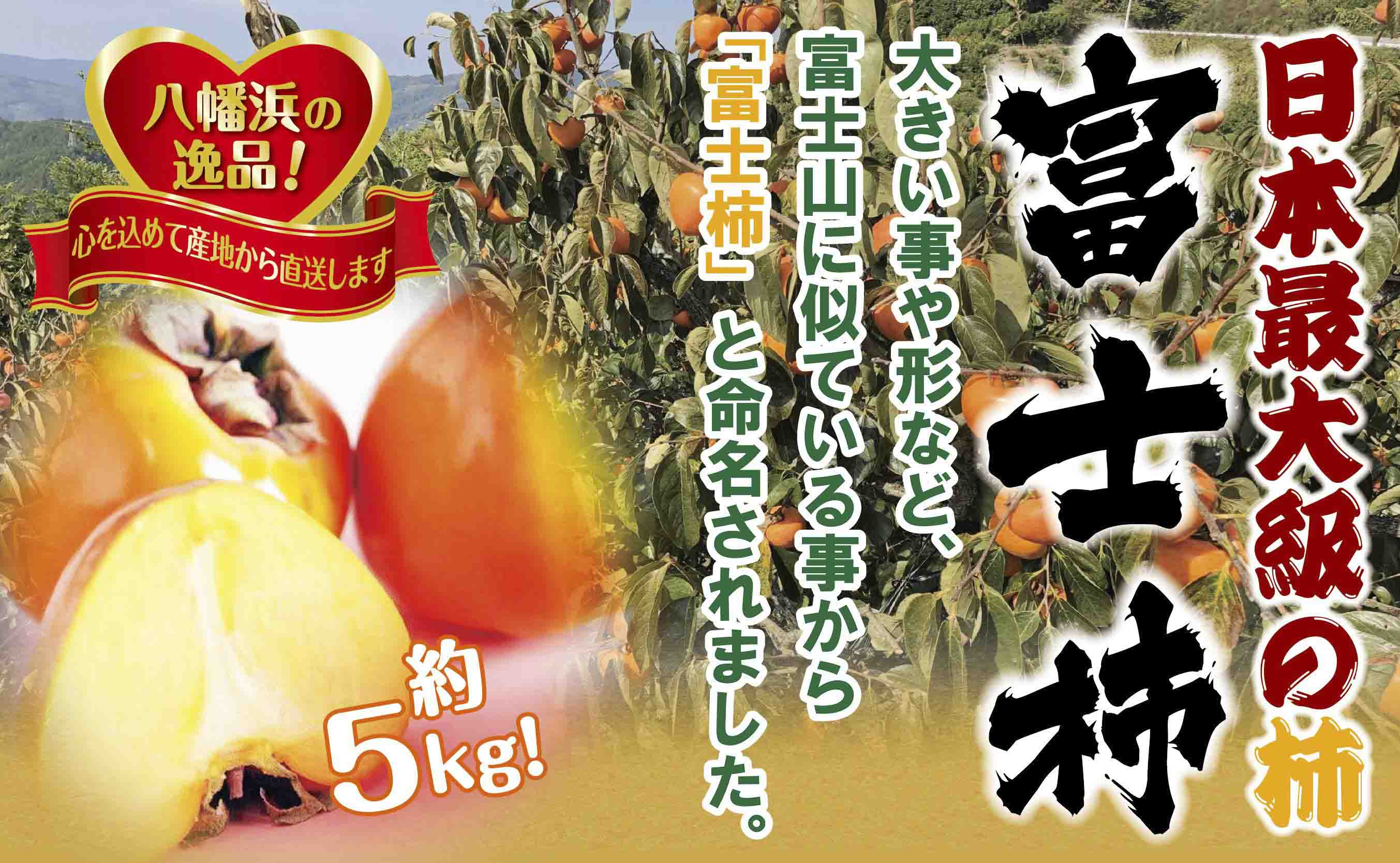 甘さにニッコリ日本最大級の柿「富士柿」約5キロ 【D39-15】【配送不可地域：離島・北海道・沖縄県】【1236930】 YWTF007