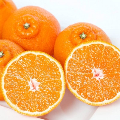 譛鬮倡エ壹∩縺九s 蟐帷嚊 荳咲衍轣ォ 7kg 諢帛ェ帷恁 蜈ォ蟷。豬懷ク 隘ソ螳蜥悟慍蛹コ縲職25-386縲代1718365縲