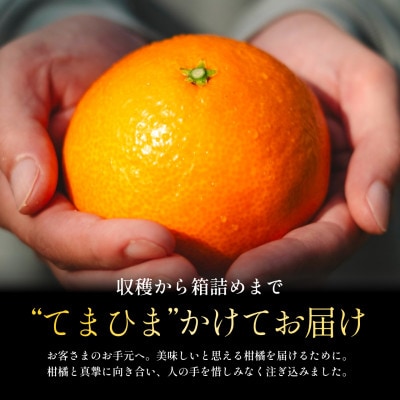 【紅まどんなと同品種】老舗農家が見極めたプレミアム【まどんな 3kg】【E70-7】【1440809】
