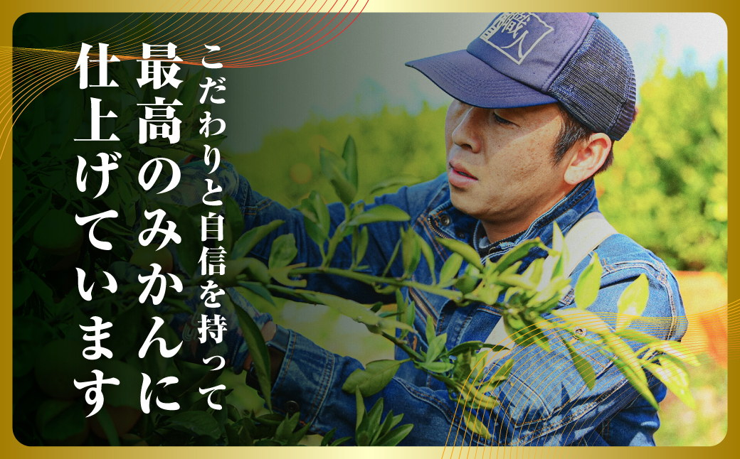 三代目の頂みかんTHEプレミアム【小玉サイズ】2kg【A31-51】【1615103】 YWTAC040
