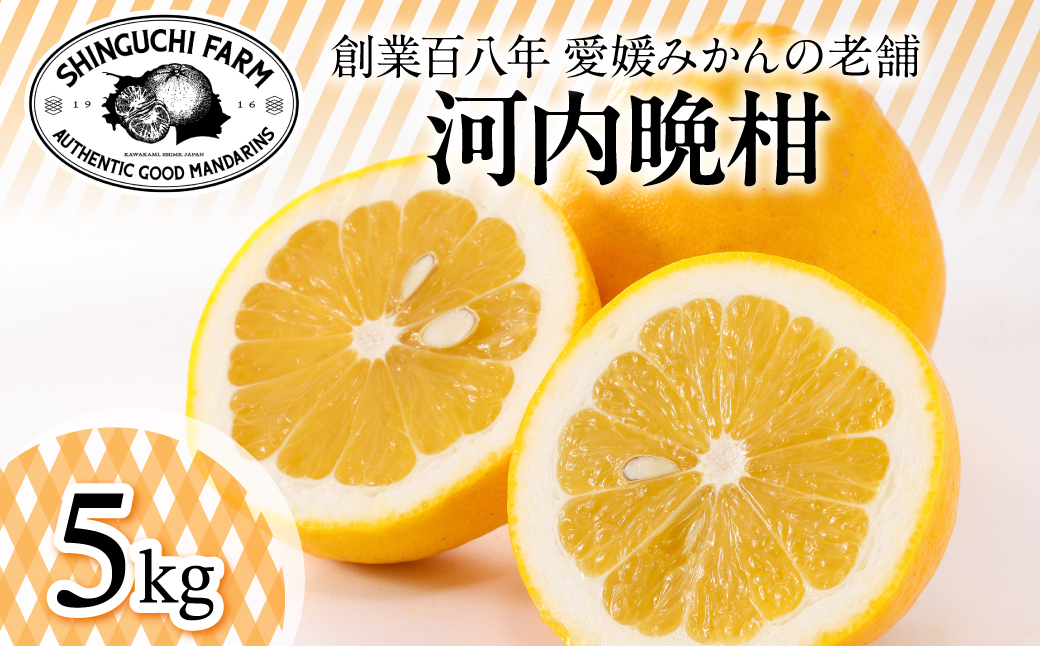 【太陽の恵みをギュッと凝縮】河内晩柑 5kg 愛媛県産【D70-16】【1470706】 YWTK016