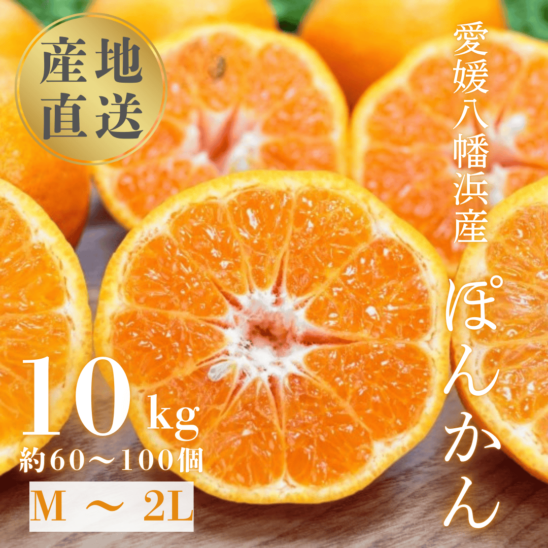 国安さんちの愛媛ポンカン10kg【D20-4】【1094581】 YWTI004