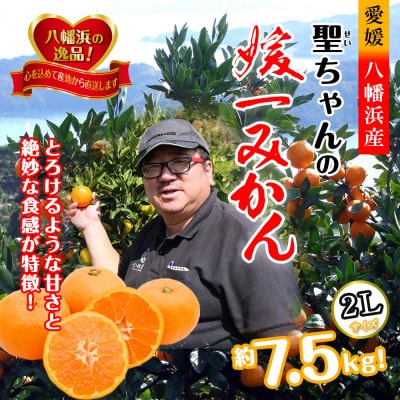 聖ちゃんの「媛一みかん」2Lサイズ  約7.5kg【C39-14】【配送不可地域：離島】【1491362】