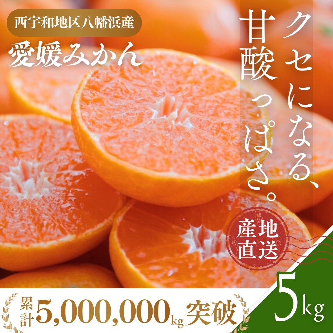 縲仙郁。悟女莉倥題・ソ螳蜥悟慍蛹コ蜈ォ蟷。豬懃肇 諢帛ェ帙∩縺九s 5kg縲織25-21縲代1044410縲 YWTAP014