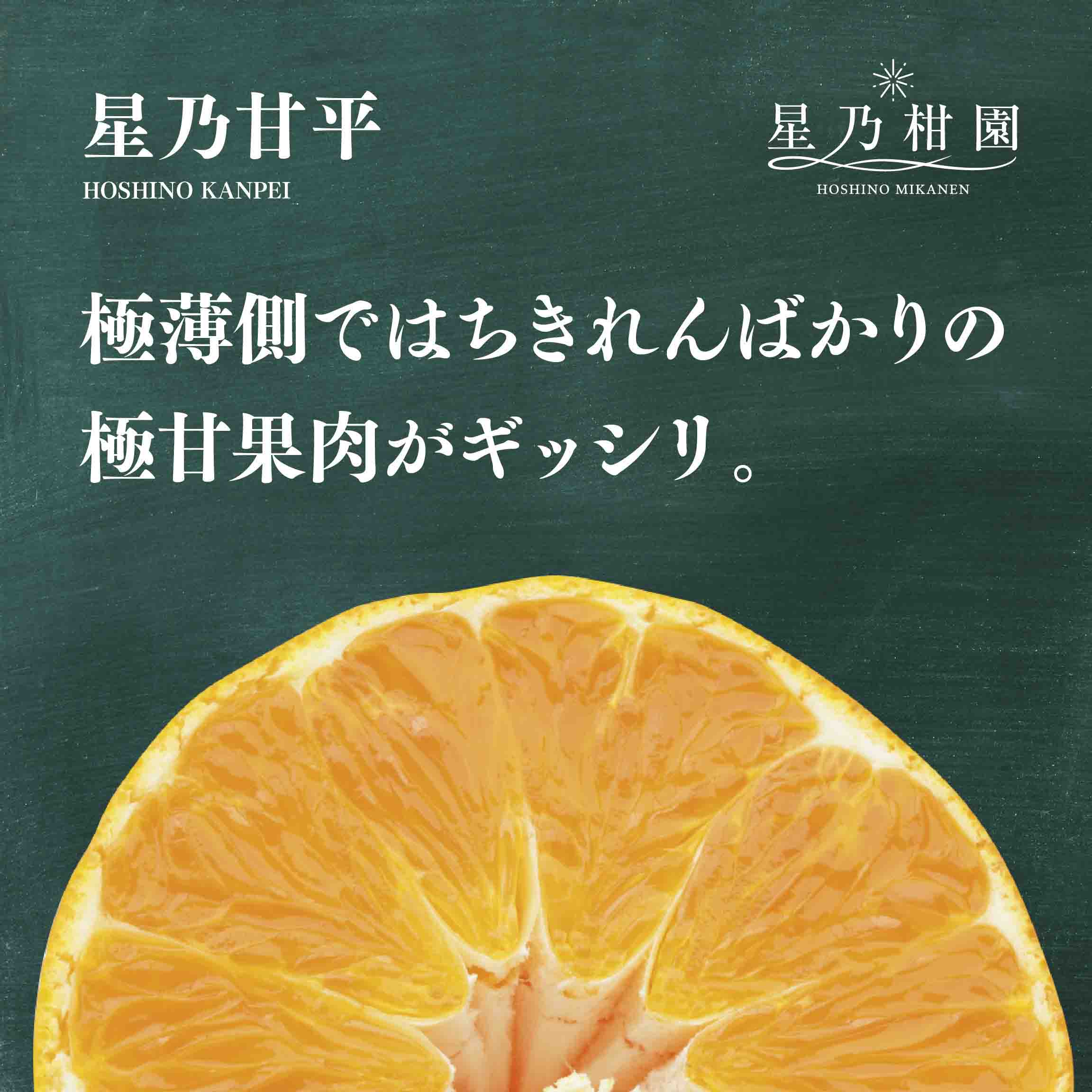 縲占ィウ縺ゅj縲第弌荵縺ソ縺九s蝨偵ョ逕伜ケウ(3.5kg)縲織45-95縲代1625779縲 YWTAZ057