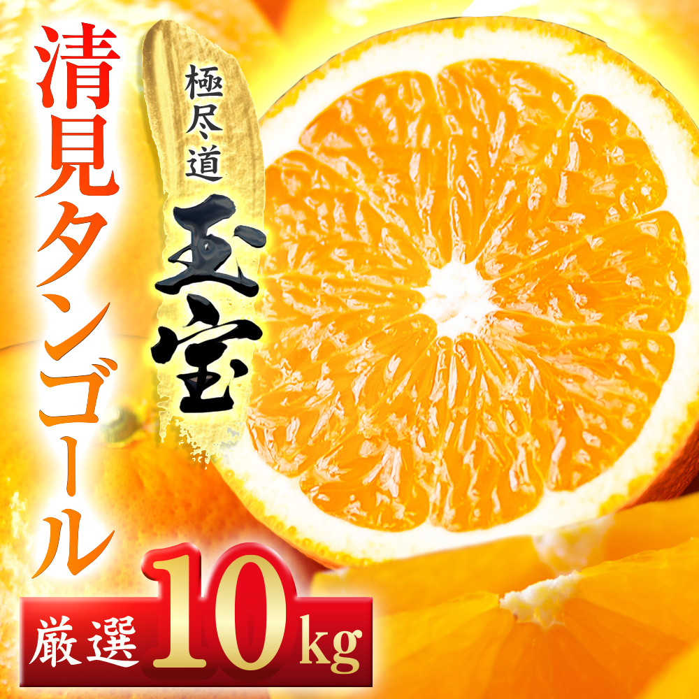 【愛媛名産】玉宝清見タンゴール　10kg【F64-36】【1510855】 YWTY025