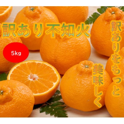 【訳あり】みさき果樹園の不知火5kg【A21-62】【1706050】