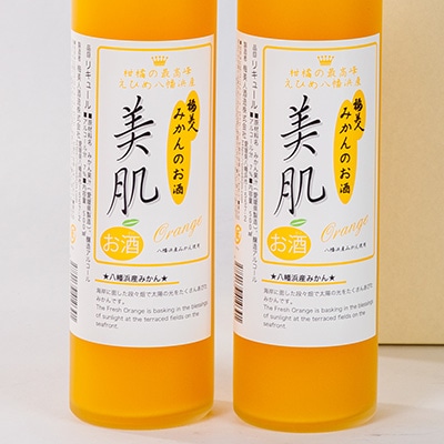 鄒手l500ml2譛ャ繧サ繝繝医燭03-10縲代1043419縲