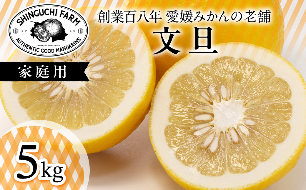 【樹上完熟】文旦 5kg『弾けるシャキッと食感』【D70-31】【1470650】 YWTK031