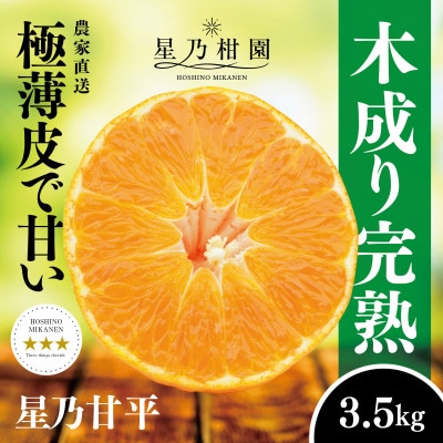 星乃みかん園の星乃甘平(3.5kg)【D45-46】【1339329】