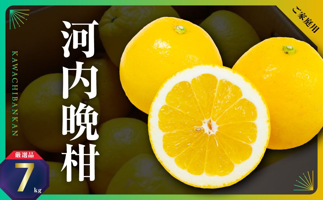 三代目の河内晩柑7kg(家庭用)【C31-30】【配送不可地域：離島】【1232986】 YWTAC019