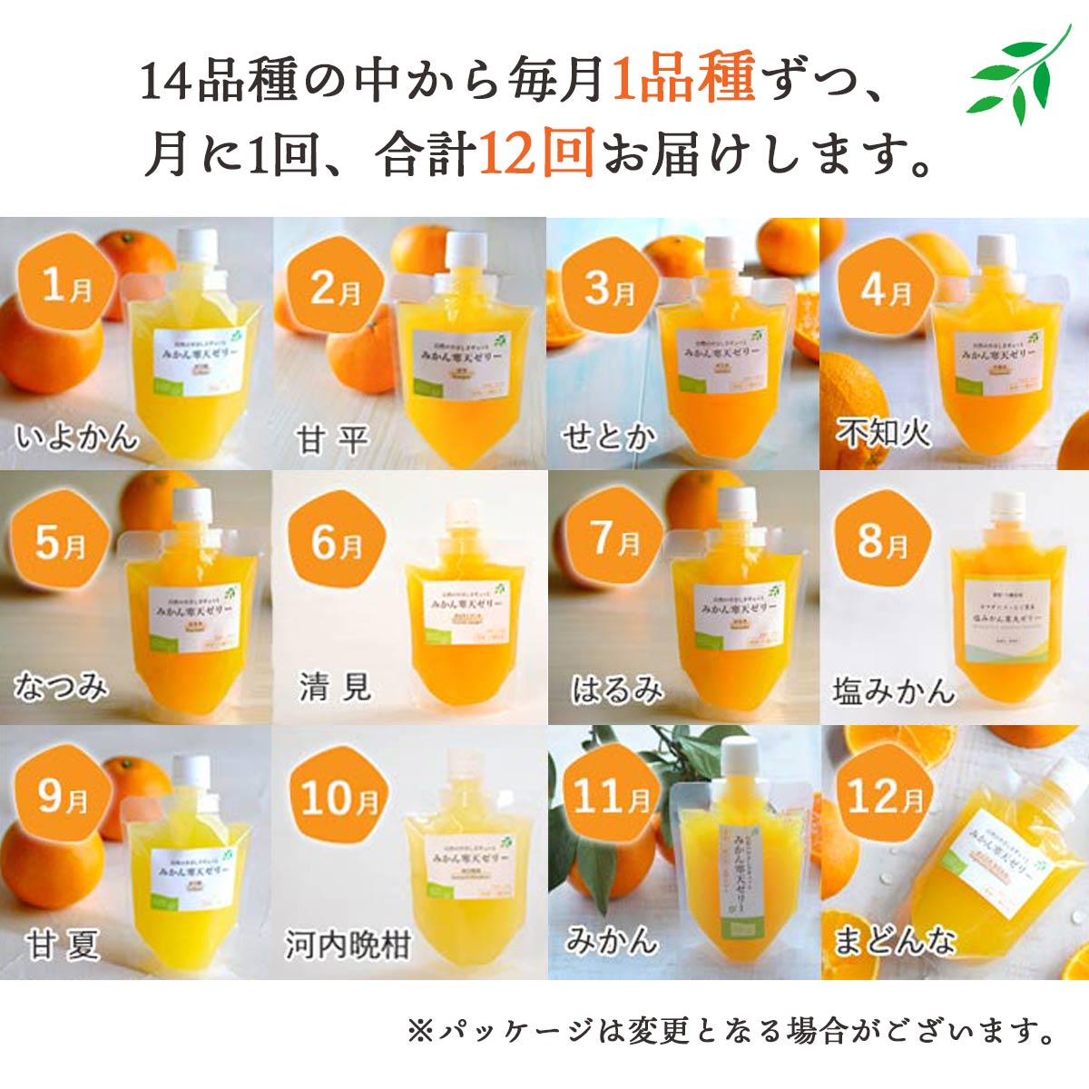 【発送月固定定期便】みかん寒天ゼリー定期便〜毎月1品種10本 全12回【H25-147】【4012160】 YWTAP091