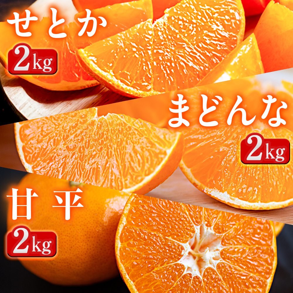 【発送月固定定期便】「蜜時(みつどき)便り」高級3品種　まどんな+甘平+せとか【H64-91】全3回【4069711】 YWTY080