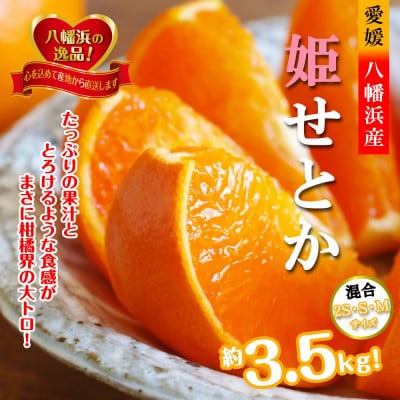 2026年2月発送開始　みずみずしい香り・柑橘の大トロ!「姫せとか」約3.5kg【D39-60】【配送不可地域：離島】【1583778】