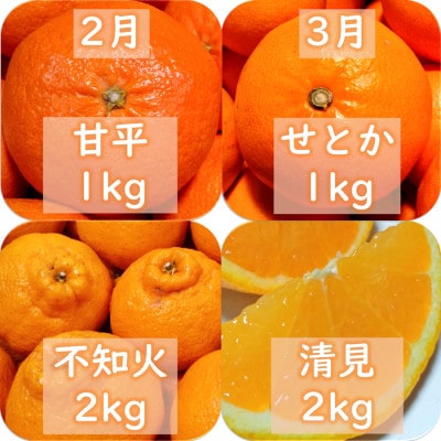 【発送月固定定期便】愛咲果樹園「9種の柑橘定期便」(1月〜5月)【H71-32】全5回【4069714】