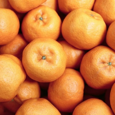 【南国を感じさせる独特の香り】愛媛ポンカン 3kg【C20-60】【1620341】