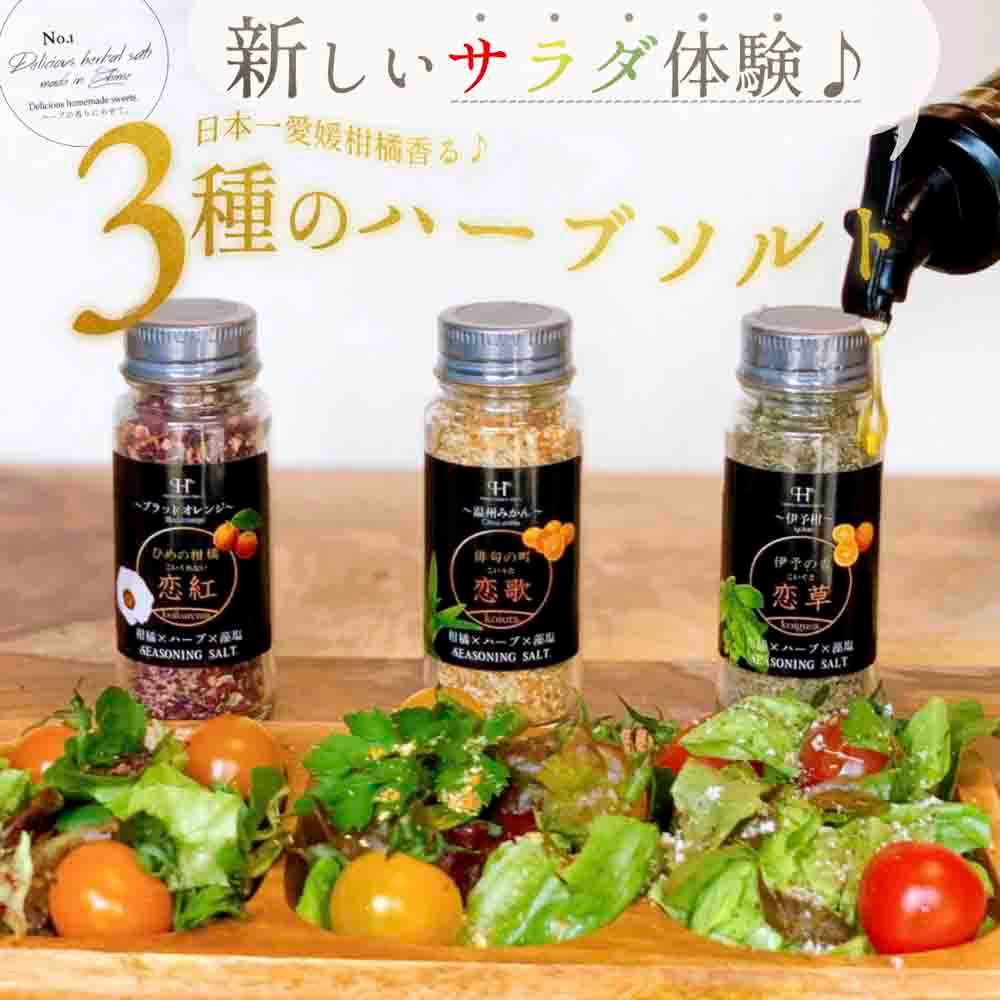 〜愛媛の柑橘香る〜ハーブソルト3種セット【C61-1】【1429819】 YWTU001
