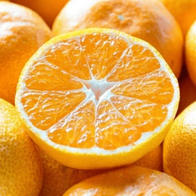 ãç³åºŠ11åºŠä»¥äž é
ž1.0ä»¥äž ç³é
žéžå¥åãæåªã¿ãã 20kgãH20-83ãã1623267ã