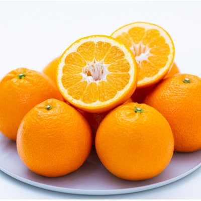 【太陽をたっぷり浴びた】伊予柑【極】5kg【C49-43】【1509740】