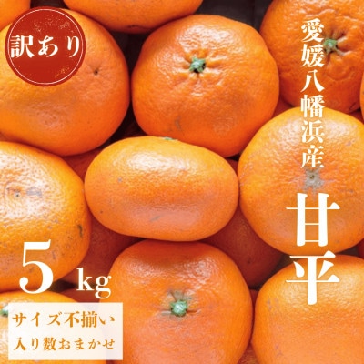 【愛媛が誇る 高級みかん 希少品種】訳あり 甘平 (かんぺい) 5kg【F20-59】【1620338】