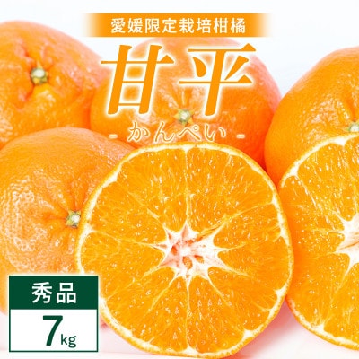 甘平 7kg 愛媛県 八幡浜市 西宇和地区 扁平で濃い味【H25-332】【1714521】